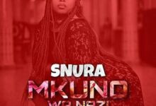 Audio: Snura - Mkuno Wa Nazi (Mp3 Download) - KibaBoy