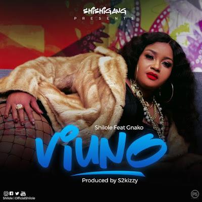 Audio: Shilole Ft G Nako - Viuno (Mp3 Download) - KibaBoy