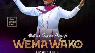 Audio: Akothee - Wema Wako (Mp3 Download) - KibaBoy