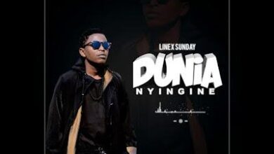 Audio: Linex - Dunia Nyingine (Mp3 Download) - KibaBoy