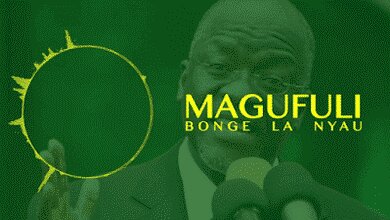 Audio: Bonge La Nyau - Chagua Magufuli (Mp3 Download)
