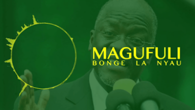 Audio: Bonge La Nyau - Chagua Magufuli (Mp3 Download) - KibaBoy