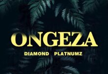 Audio: Diamond Platnumz - Ongeza (Mp3 Download) - KibaBoy