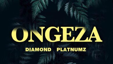 Audio: Diamond Platnumz - Ongeza (Mp3 Download) - KibaBoy