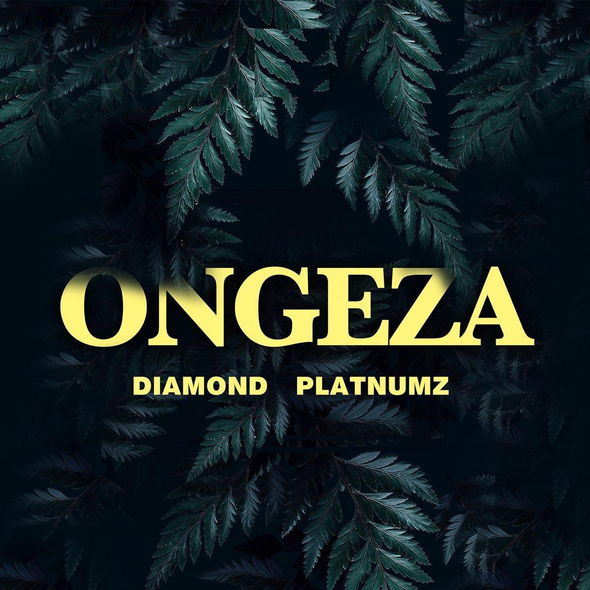 Audio: Diamond Platnumz - Ongeza (Mp3 Download) - KibaBoy