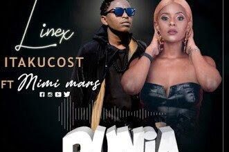 Audio: Linex Ft Mimi Mars - Itakucost (Mp3 Download) - KibaBoy