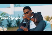 VIDEO: Linex - Dunia Nyingine (Mp4 Download) - KibaBoy