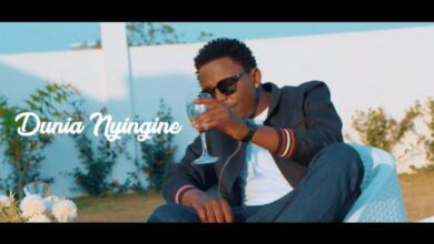 VIDEO: Linex - Dunia Nyingine (Mp4 Download) - KibaBoy