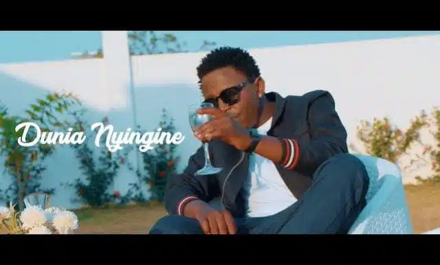 VIDEO: Linex - Dunia Nyingine (Mp4 Download)