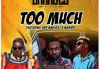 Audio: Rj The Dj Ft Sho Madjozi & Marioo - Too Much (Mp3 Download) - KibaBoy