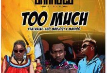 Audio: Rj The Dj Ft Sho Madjozi & Marioo - Too Much (Mp3 Download) - KibaBoy