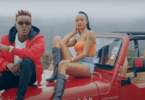 VIDEO: Willy Paul Ft Avril - COCO (Mp4 Download) - KibaBoy