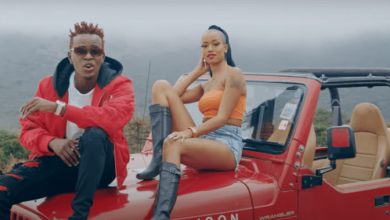 VIDEO: Willy Paul Ft Avril - COCO (Mp4 Download) - KibaBoy