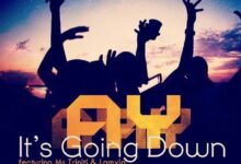 Audio: AY Ft Mis Triniti & Lamyia - Its Goin Down (Mp3 Download) - KibaBoy