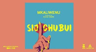 Audio: Diamond Platnumz X Mkaliwenu - Sijichubu (Haunisumbui Remix) (Mp3 Download) - KibaBoy