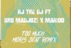 Audio: Rj The Dj Ft Sho Madjozi & Marioo - Too Much (Moris Beat Remix) (Mp3 Download) - KibaBoy