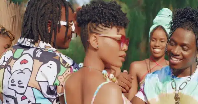 VIDEO: Uncle Epatan Ft. Rayvanny - Cat Walk (Mp4 Download)