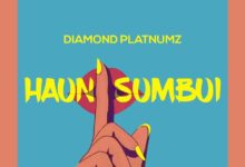 Audio: Diamond Platnumz - Haunisumbui (Mp3 Download) - KibaBoy