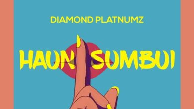 Audio: Diamond Platnumz - Haunisumbui (Mp3 Download) - KibaBoy