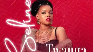 Audio: Seline - Twanga (Mp3 Download)