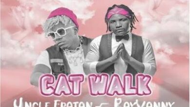 Audio: Uncle Epatan Ft. Rayvanny - Cat Walk (Mp3 Download) - KibaBoy