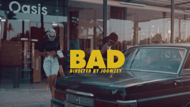 VIDEO: Frida Amani - Bad (Mp4 Download) - KibaBoy