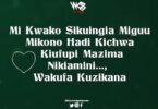 Lyrics VIDEO: Diamond Platnumz - Ongeza (Mp4 Download) - KibaBoy