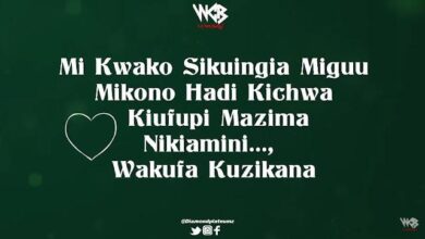 Lyrics VIDEO: Diamond Platnumz - Ongeza (Mp4 Download) - KibaBoy