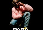 Audio: Dully Sykes - Para Pari Papa (Mp3 Download) - KibaBoy