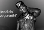 Audio: Fidodido - Mwagaradhi (Mp3 Download) - KibaBoy