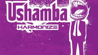 Audio: Harmonize - Ushamba (Mp3 Download) - KibaBoy