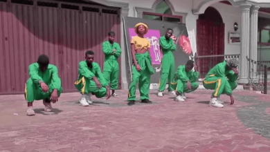 Dance VIDEO: Harmonize - Ushamba (Mp4 Download) - KibaBoy