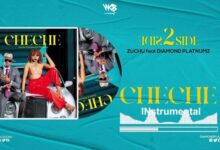 Audio: Zuchu Ft Diamond Platnumz - Cheche Instrumental (Beat) (Mp3 Download) - KibaBoy