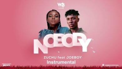 Audio: Zuchu Ft Joeboy - Nobody Instrumental (Beat) (Mp3 Download) - KibaBoy