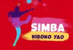 Lyrics VIDEO: Diamond Platnumz - Simba (Mp4 Download) - KibaBoy