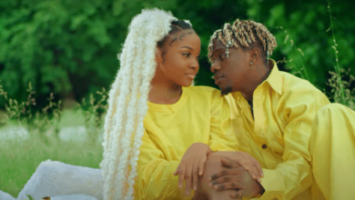 VIDEO: Rayvanny Ft Zuchu - Number One (Mp4 Download) - KibaBoy