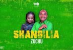 Audio: Zuchu - Shangilia (Mp3 Download) - KibaBoy