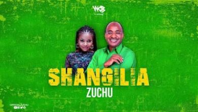 Audio: Zuchu - Shangilia (Mp3 Download) - KibaBoy