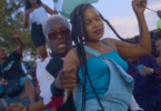 VIDEO: Dully Sykes - Platinado (Mp4 Downoad) - KibaBoy