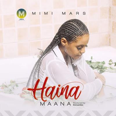 Audio: Mimi Mars - Haina Maana (Mp3 Download) - KibaBoy