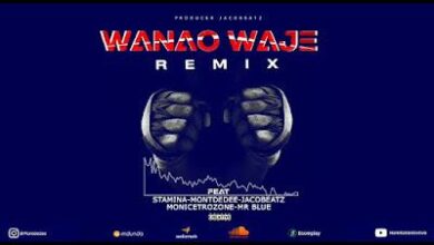 Audio: Stamina X MontDedee, Jacobeat, Mr blue, Moni Centrozone - Wanao Waje Remix (Mp3 Download) - KibaBoy