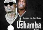 Audio: Harmonize Ft. Naira Marley - Ushamba Remix (Mp3 Download) - KibaBoy