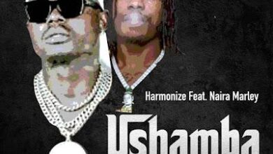 Audio: Harmonize Ft. Naira Marley - Ushamba Remix (Mp3 Download) - KibaBoy