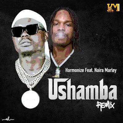 Audio: Harmonize Ft. Naira Marley - Ushamba Remix (Mp3 Download) - KibaBoy