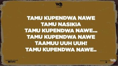 Lyrics VIDEO: Diamond Platnumz Ft Koffi Olomide - Waah! (Mp4 Download) - KibaBoy