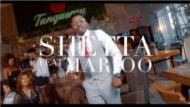 VIDEO: Shetta Ft Marioo - Bozemba (Mp4 Download) - KibaBoy