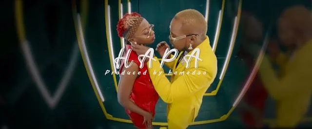 VIDEO: Timmy Tdat Ft Ssaru - Hapa (Mp4 Download)