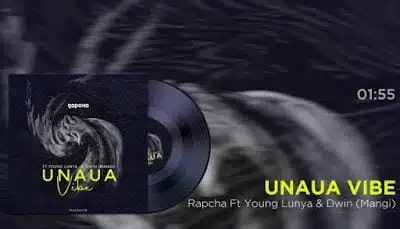 Audio: Rapcha Ft. Young Lunya x Dwin (Mangi) - Unaua Vibe (Mp3 Download)