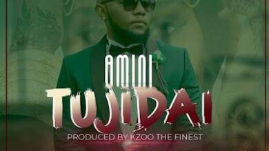 Audio: Amini - Tujidai (Mp3 Download) - KibaBoy