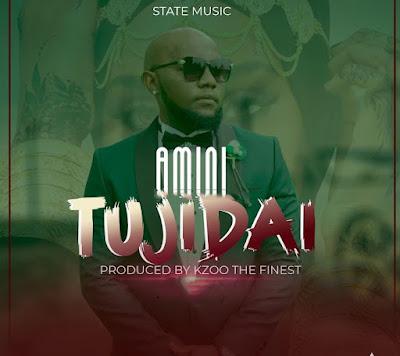 Audio: Amini - Tujidai (Mp3 Download) - KibaBoy